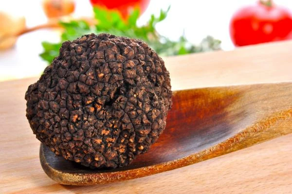 Business Opportunities in the Growing U.S. Mushroom and Truffle Industry